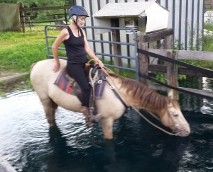 Judy is riding Carter into the water for a cool down. She is an owner/trainer and retired school teacher who loves to work with children.